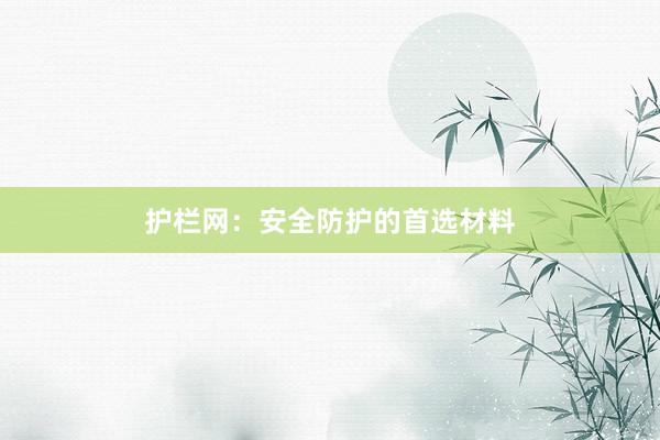 护栏网：安全防护的首选材料