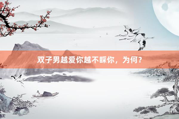 双子男越爱你越不睬你，为何？