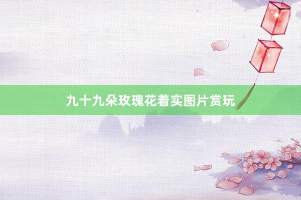 九十九朵玫瑰花着实图片赏玩
