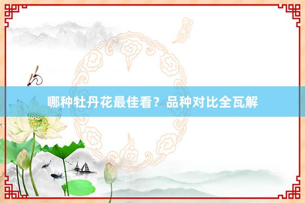 哪种牡丹花最佳看？品种对比全瓦解